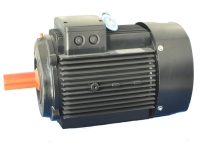 ADL系列冲压泵专用三相异步电动机