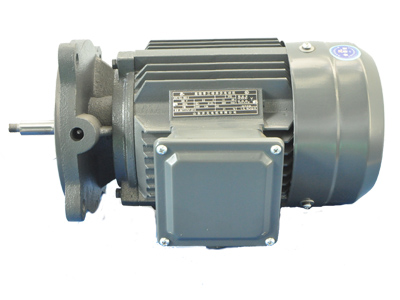YZSB系列直驱式水泵专用三相异步电动机